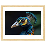 Close-up of a Peacock’s Head thumbnail