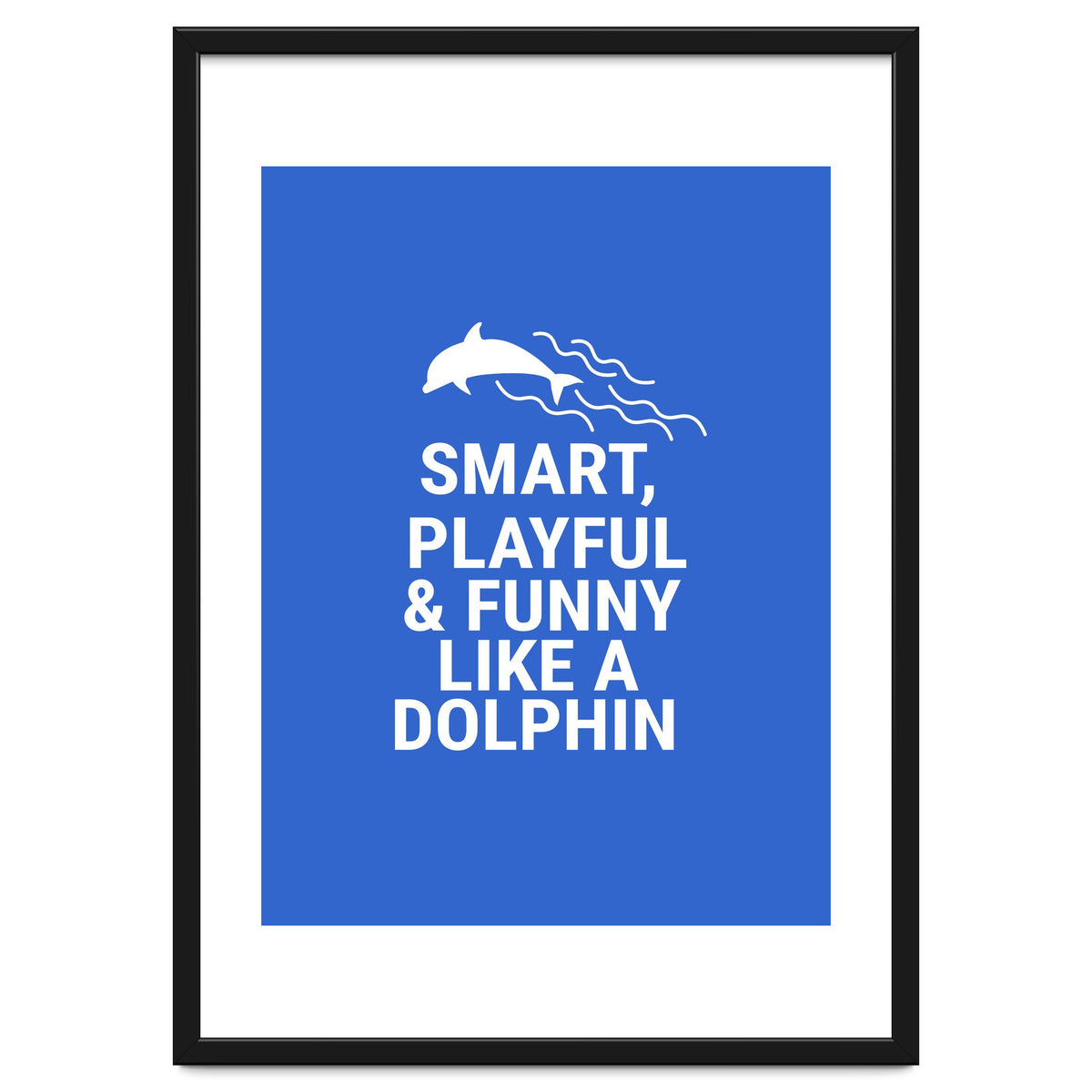 Smart, playful and funny like a dolphin