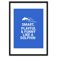 Smart, playful and funny like a dolphin