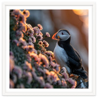 Puffin Bird On Rocks Near Pink Flowers At Sunset