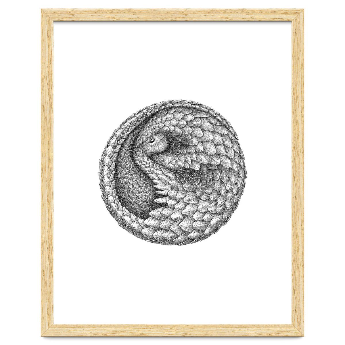 Pangolin no. 2