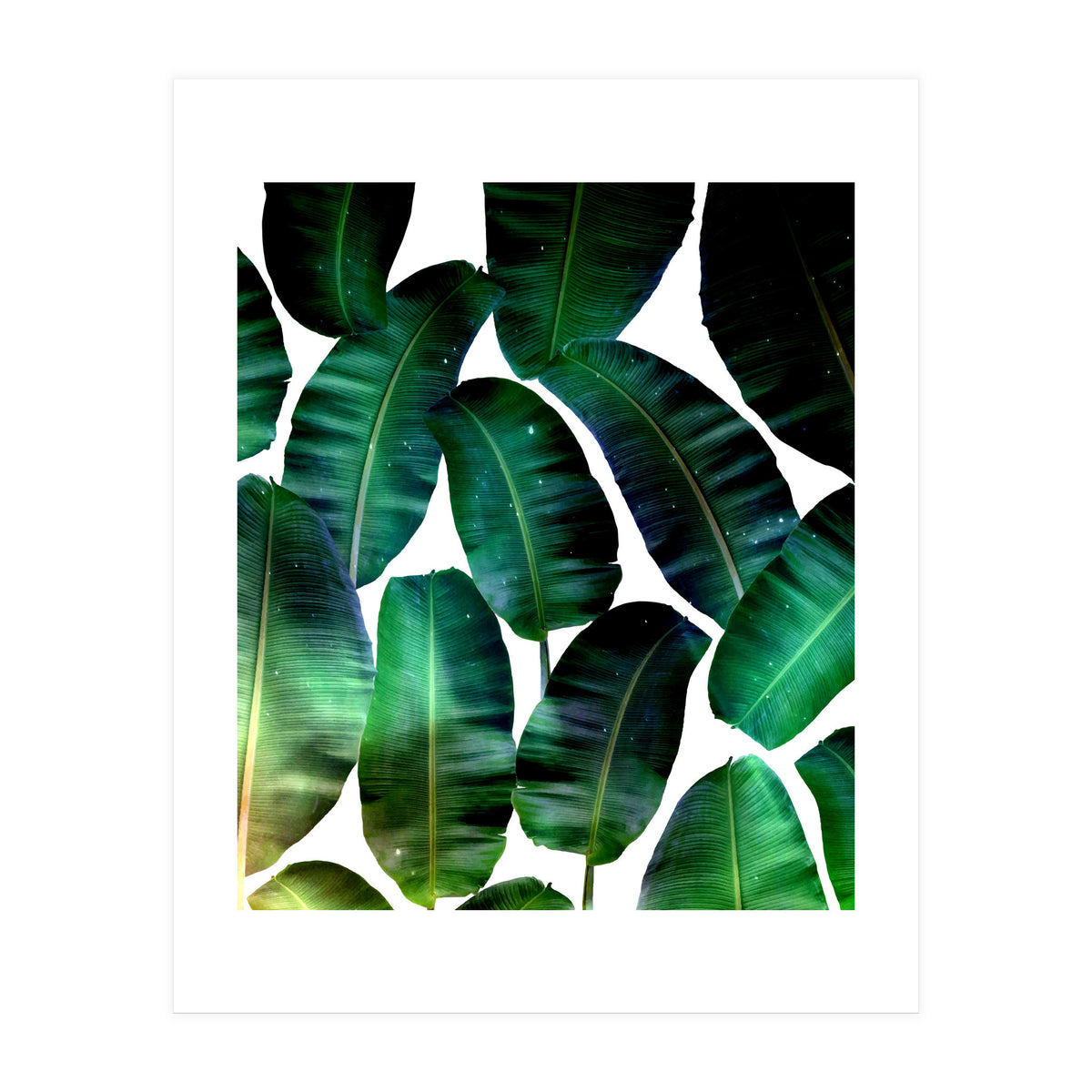 Cosmic Banana Leaves (Print Only)