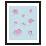 Jellyfish thumbnail