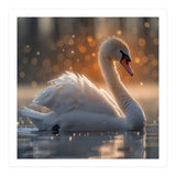 Majestic Swan Gliding On Water During Sunset Golden Hour Wildlife (Print Only) thumbnail
