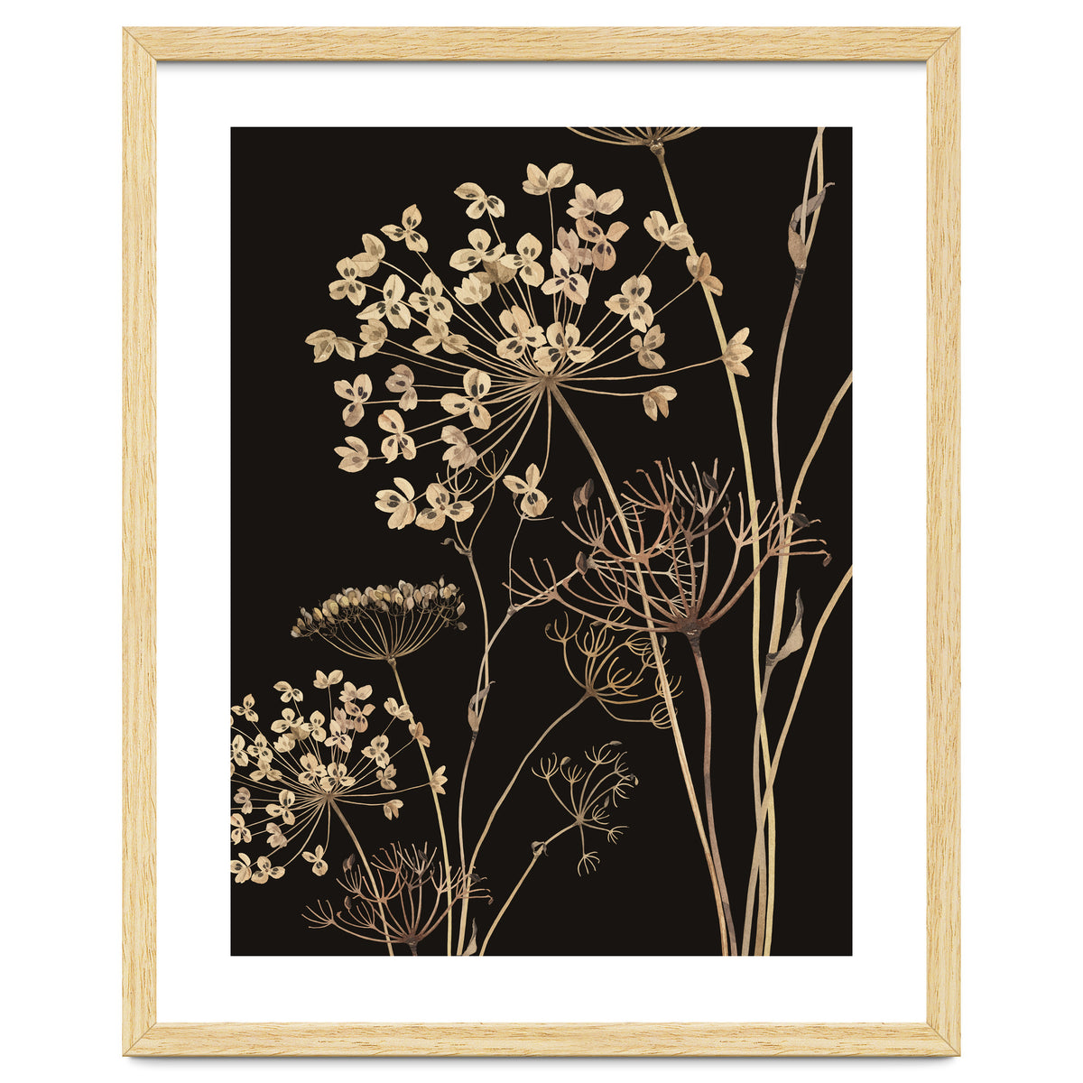 Wildflowers I