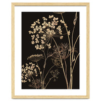 Wildflowers I