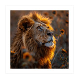 Majestic Lion In A Field Of Sunflowers (Print Only) thumbnail