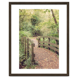 Path To The Bridge thumbnail