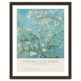 Vincent Van Gogh - Almond Blossom thumbnail