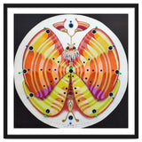 Clock butterfly thumbnail
