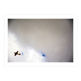 The Little Prince (Print Only) thumbnail