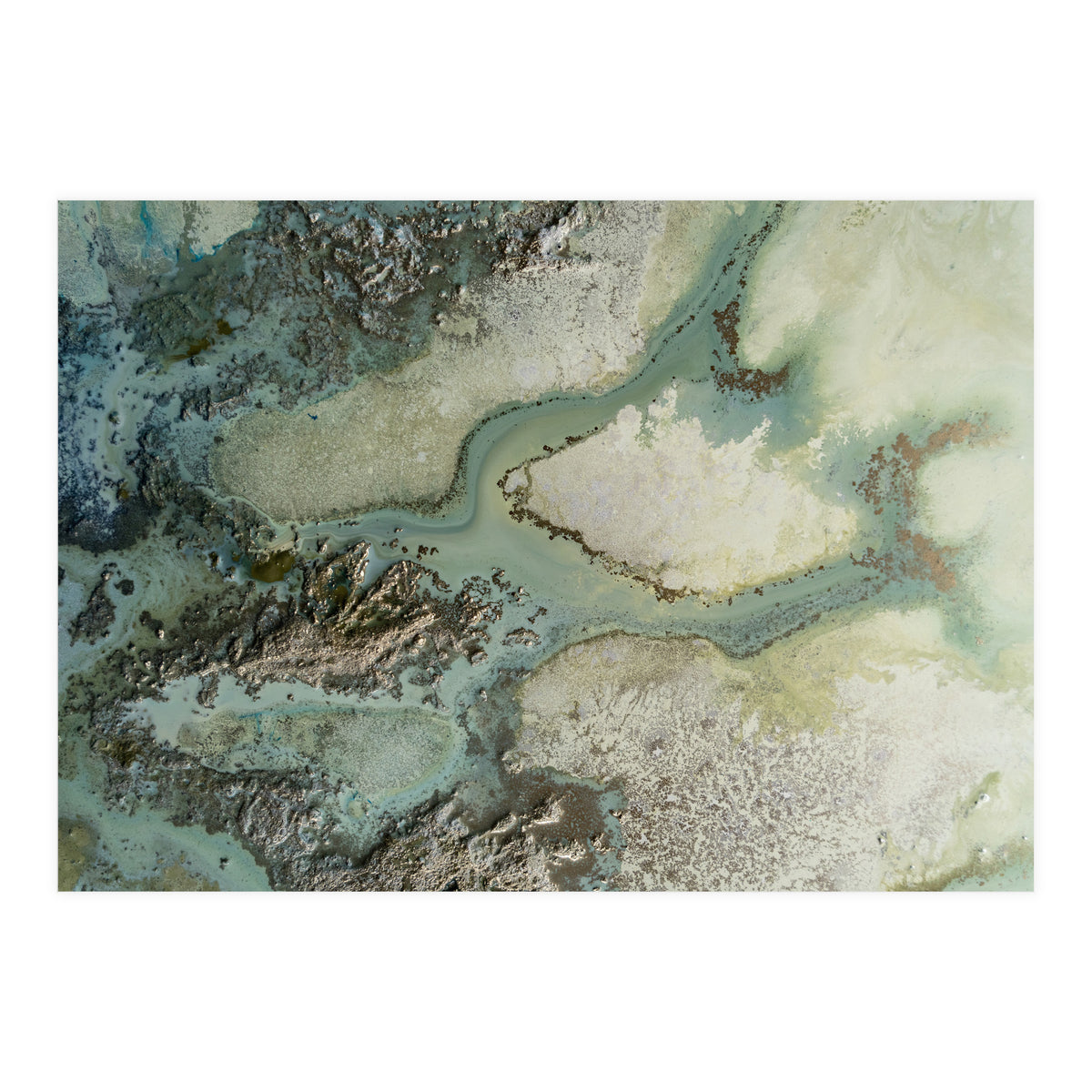 Evergreen (Print Only)