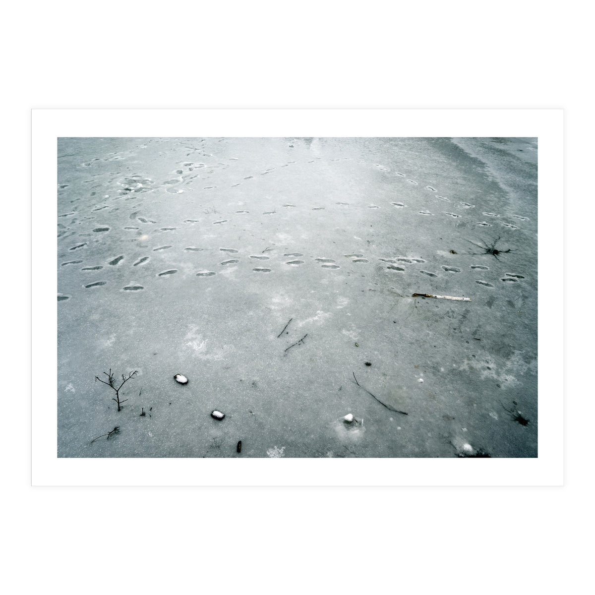 Frozen ice pond (Print Only)