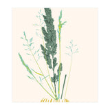 Plant based happyness Grasses 2 still life (Print Only) thumbnail