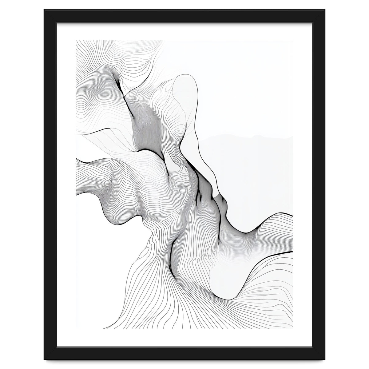 Abstract Black And White Flowing Lines