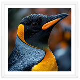 King Penguin With Water Droplets In Rain thumbnail