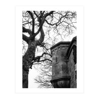 Stark Contrast (Print Only)