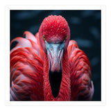 Close Up Flamingo Face With Water Droplets (Print Only) thumbnail
