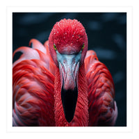 Close Up Flamingo Face With Water Droplets (Print Only)