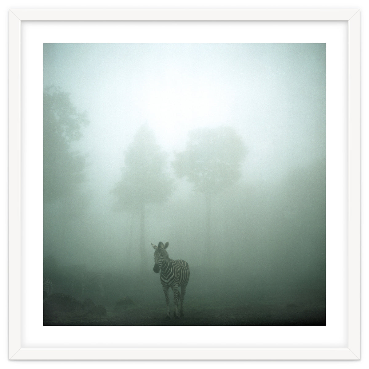 Silence of breath - 01