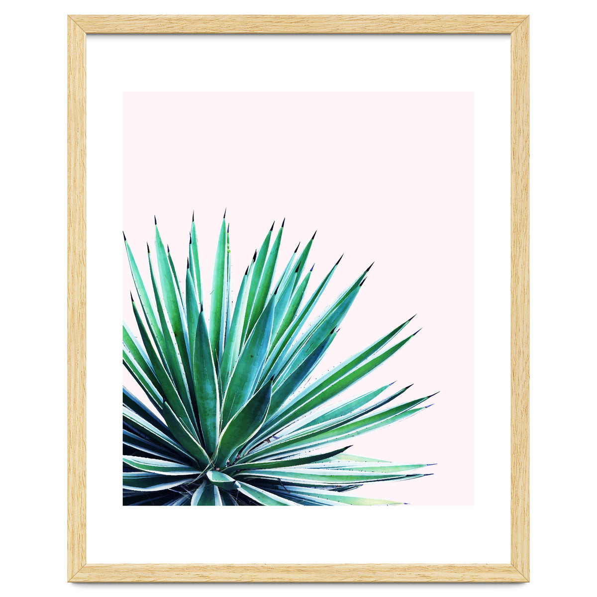 Agave Love #society6 #decor #buyart
