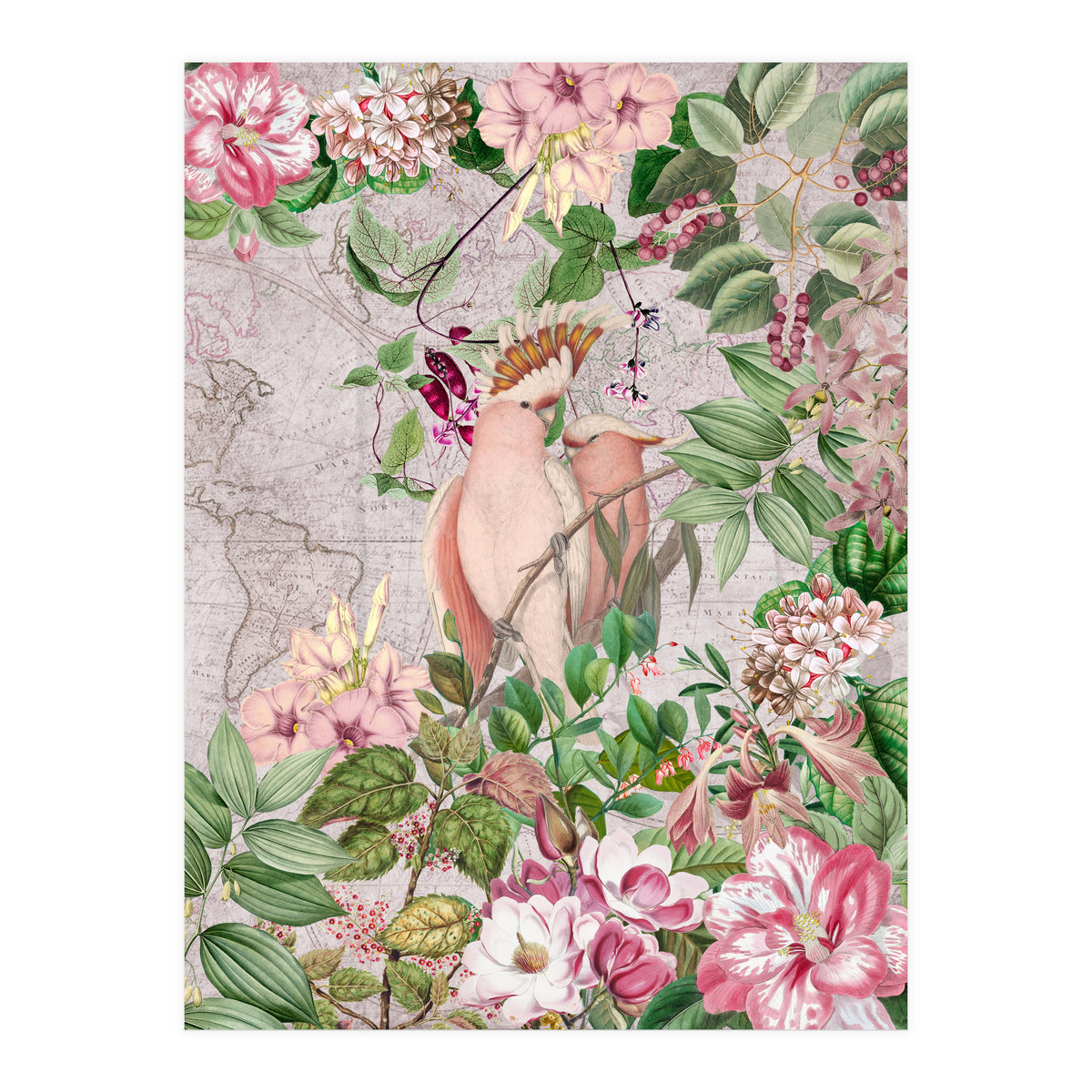 Parrot Exotic Jungle  (Print Only)