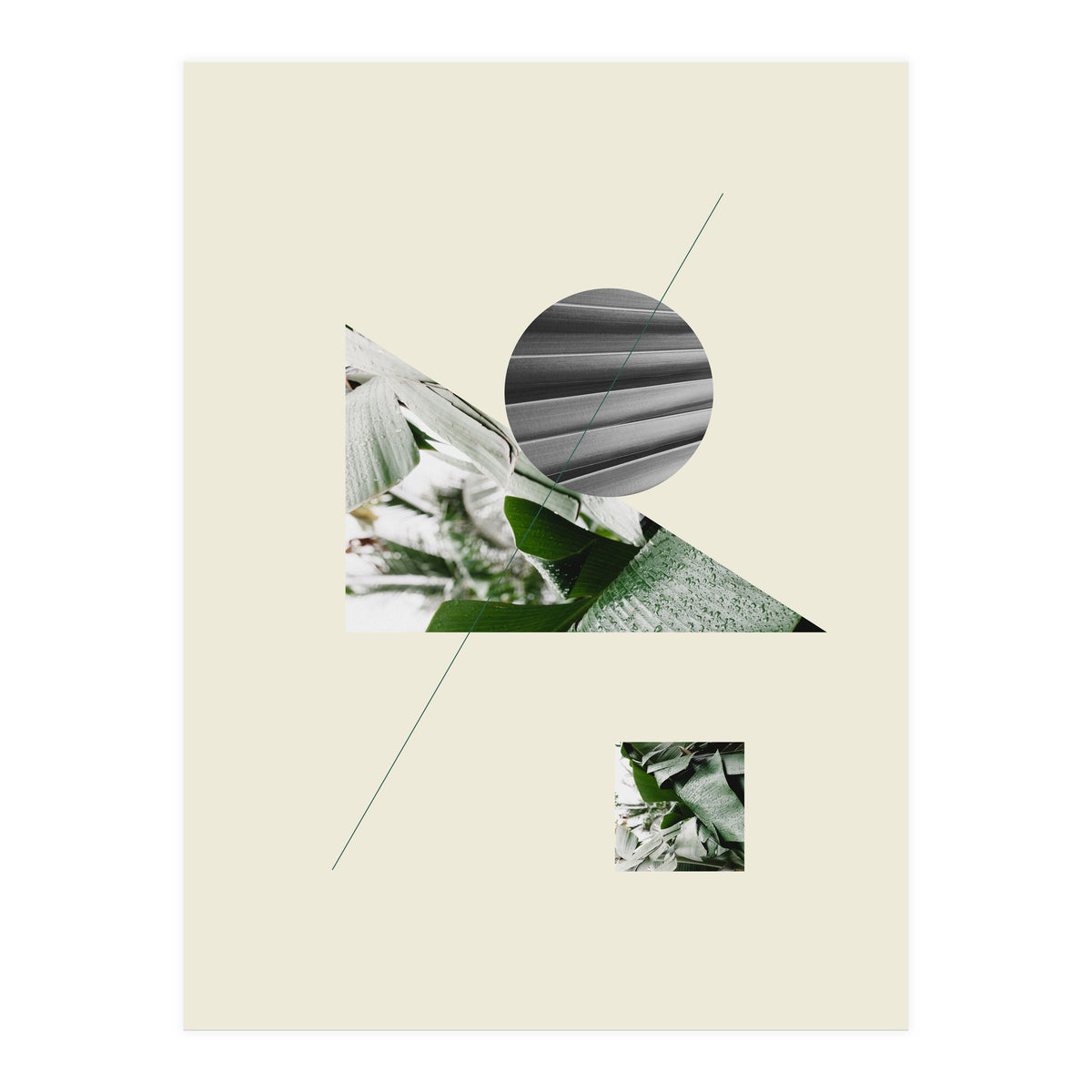 Tropical Geometry No 2 (Print Only)