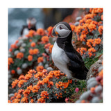 Atlantic Puffin Bird Perched On Orange Flowers (Print Only) thumbnail