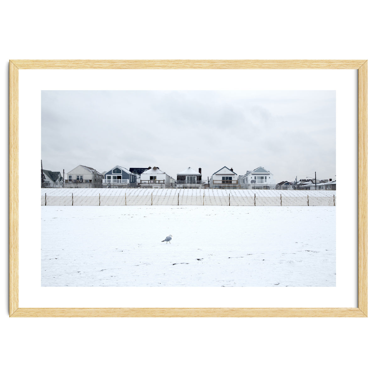 A seagull and snow covered houses