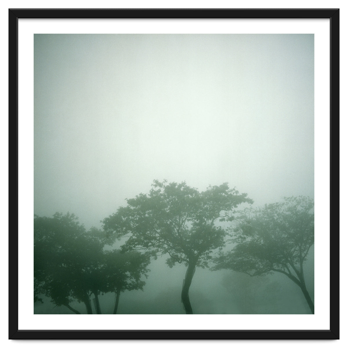 Silence of breath - 17