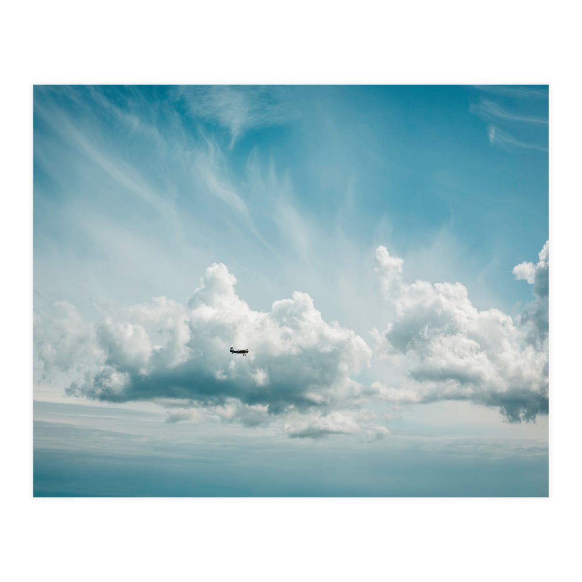 Airborne (Print Only)