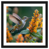 Hummingbird Feeding On Yellow Flowers Nectar thumbnail