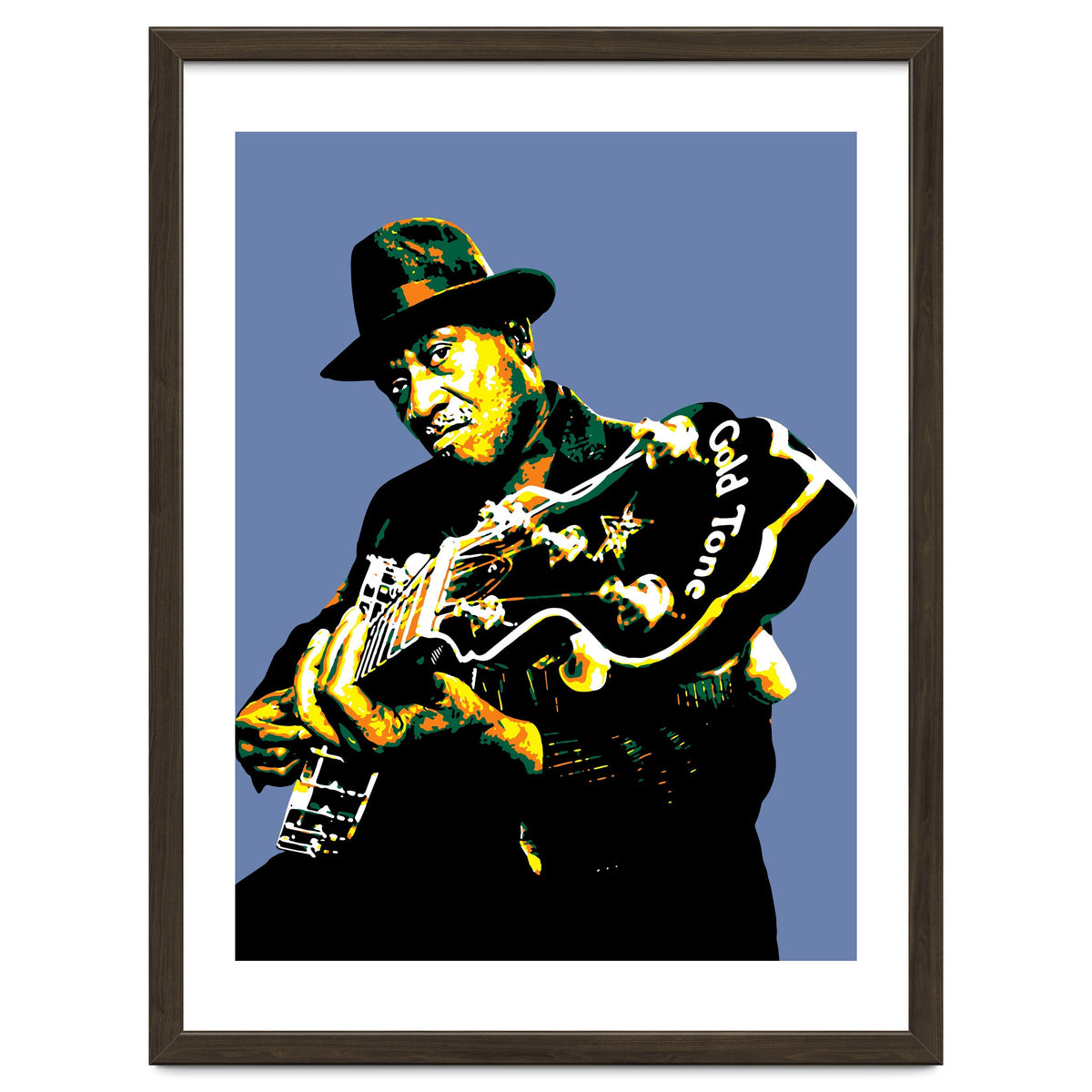 Taj Mahal American Blues Musician Legend