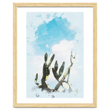 Cactus & Sky thumbnail