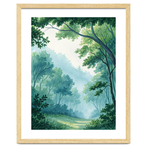 Misty Forest Canopy