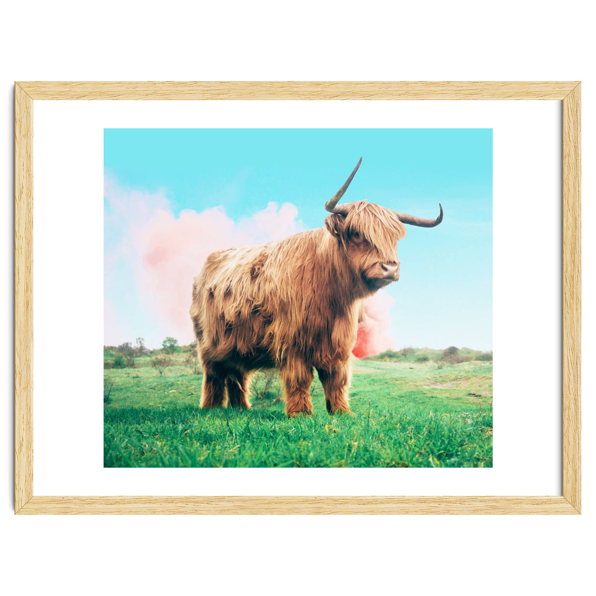 Highland Cow #society6 #decor #buyart