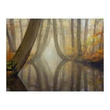 Bent trees in autumn (Print Only) thumbnail