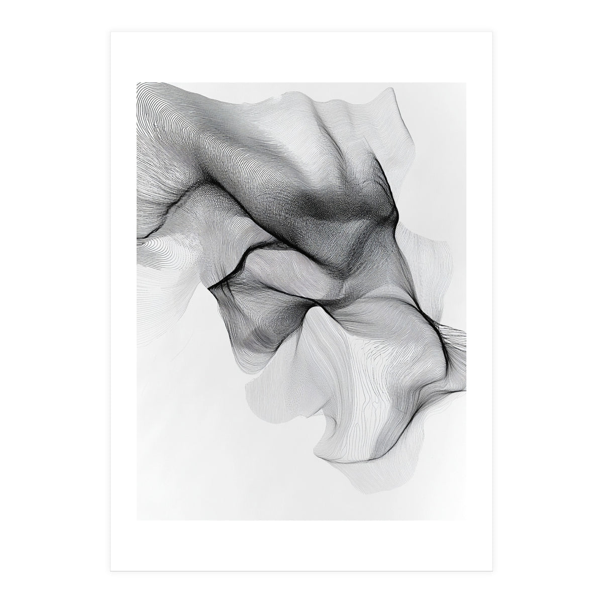 Abstract Black And White Flowing Lines Forming Organic Shapes And Forms (Print Only)