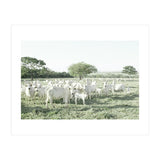 LIVING TOGETHER - WHITE COWS FAMILY (Print Only) thumbnail