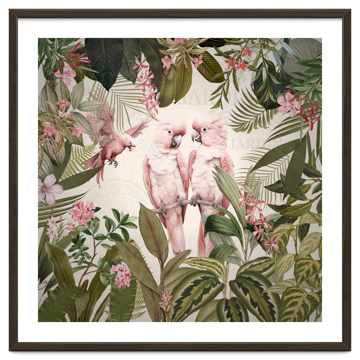 Pink Parrots Exotic Rainforest