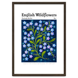 English Wildflowers | Forget-Me-Not thumbnail