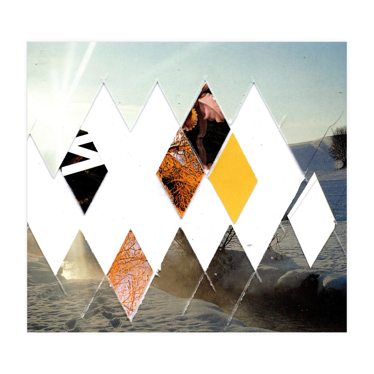 Fragmented · Botschaft Der Pappen??? · Winterimpressionlooklike (Print Only)