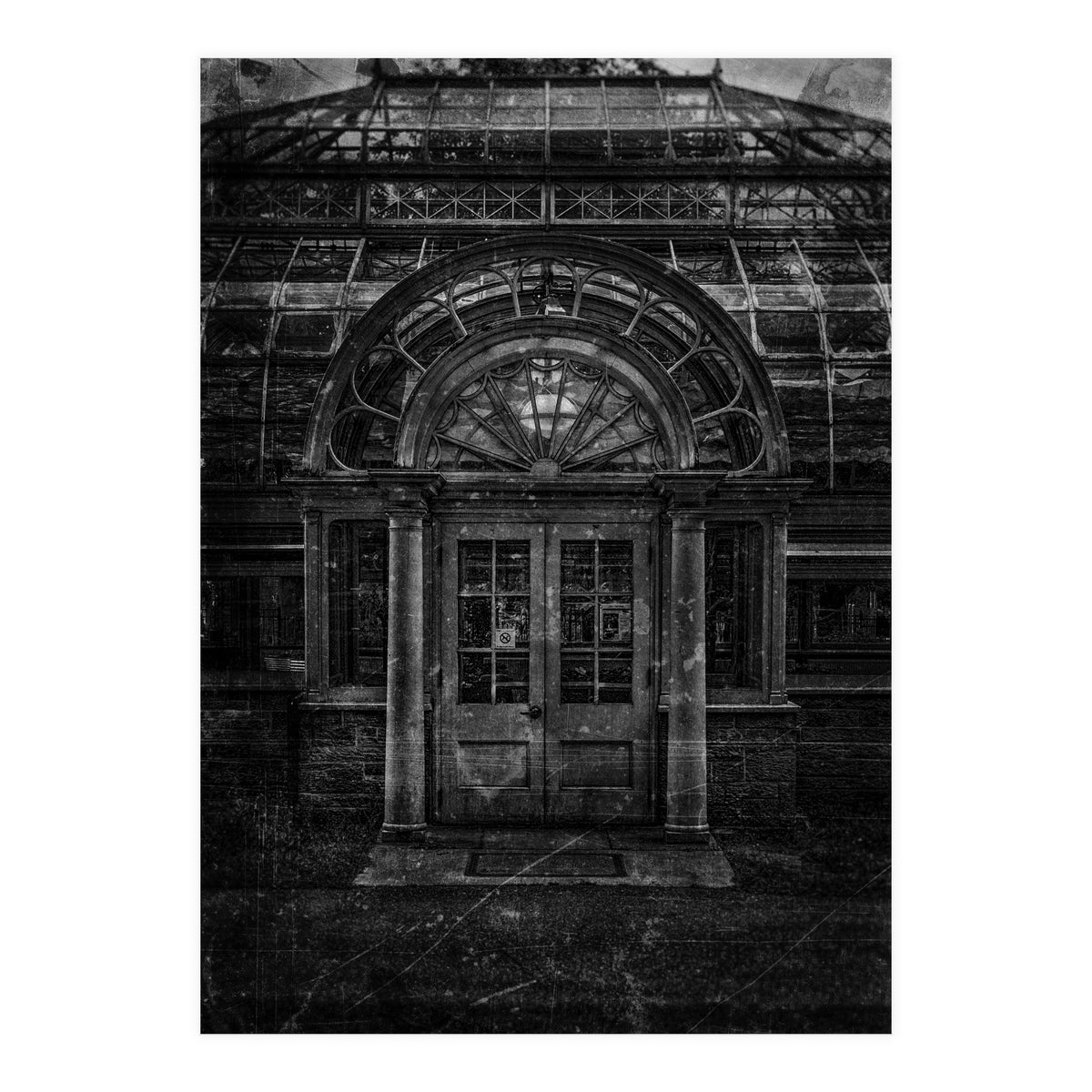 Allan Gardens Conservatory Palm House No 5 Old Film Version (Print Only)