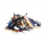 Maine Coon Resting Portrait (Print Only) thumbnail