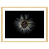 Backyard Flowers No 27 Color Version thumbnail
