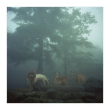 Silence of breath - 05 (Print Only) thumbnail