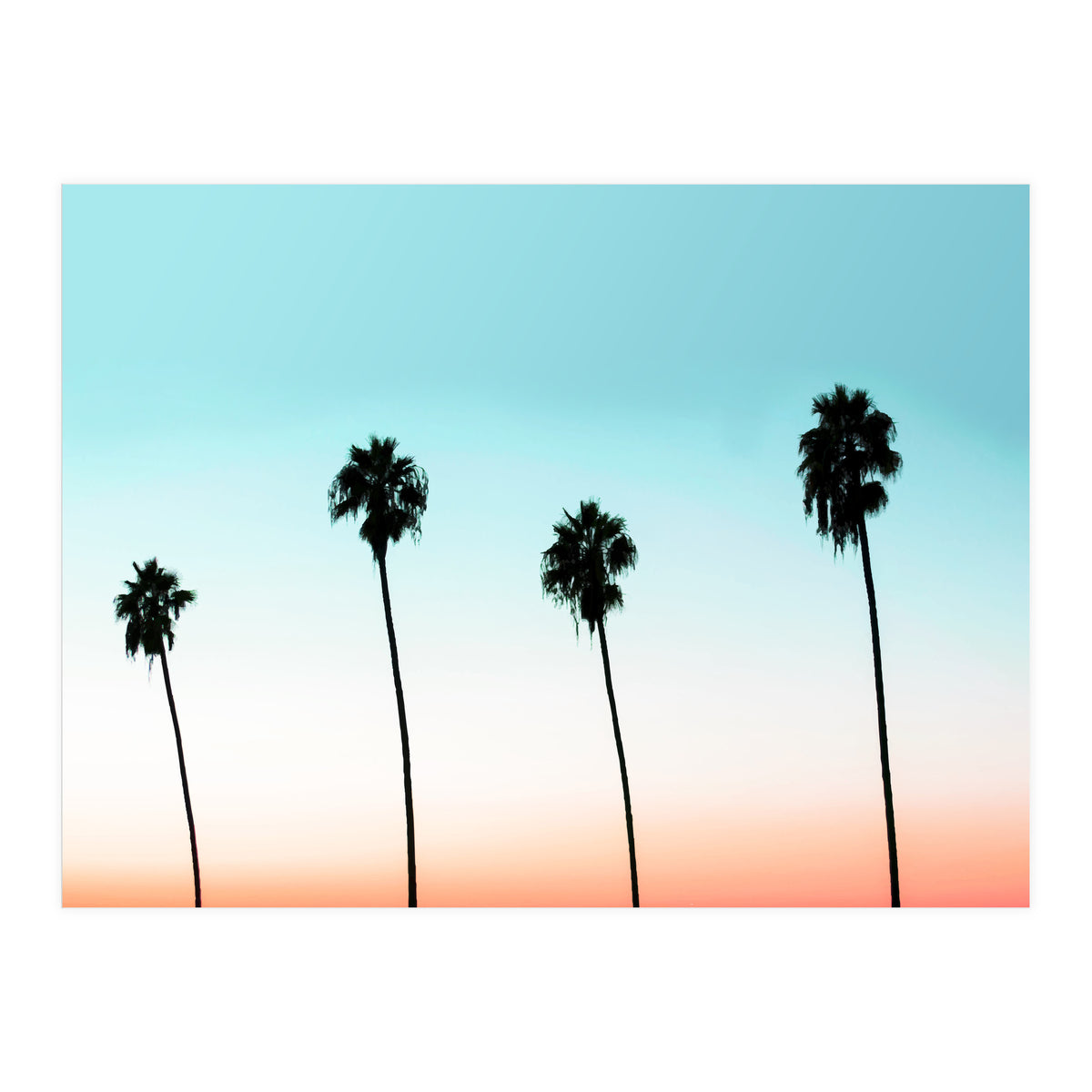 Sunset Boulevard #society6 #decor #buyart (Print Only)