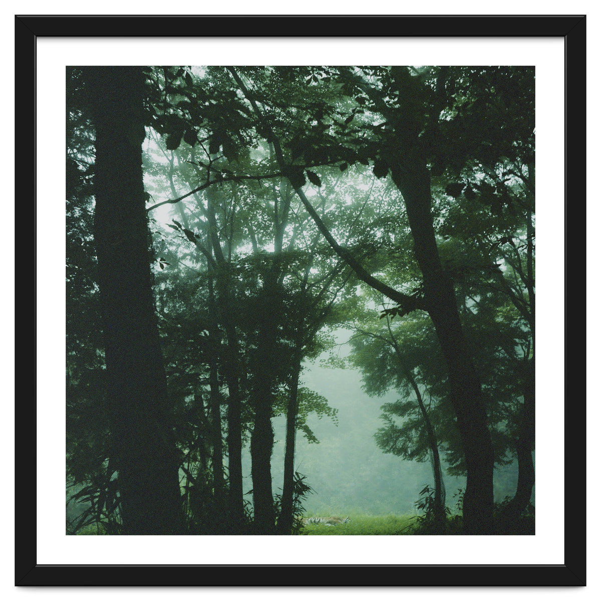 Silence of breath - 13