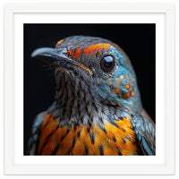 Close Up Of A Colorful Exotic Bird Head