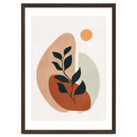 Soft Shapes II